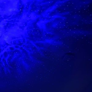 Meet your Posher, Aly